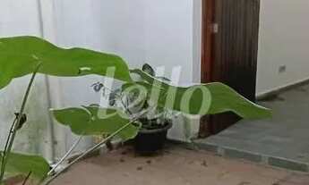 Imagem 4: São Paulo - Casa Comercial - Tremembé