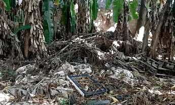 Imagem 6: Aluguel de casa Casa com 3 dormitórios