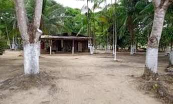 Imagem: Sítio no confiança 3 - cantá