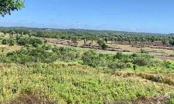 Imagem 5: Terreno com Mirante zona leste