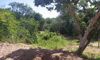 Imagem 6: Fazenda 10 Alqueires Prontinha para Uso