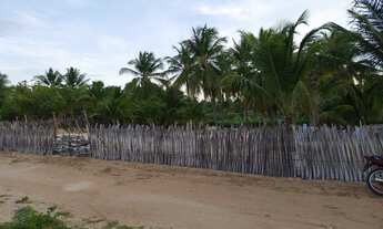 Imagem 3: Vendo terreno na praia de caetanos Amontada, de frente 40 metros e de fundo 60 metros