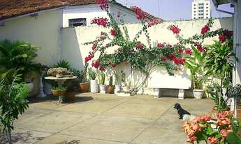 Imagem 6: VENDA - área comercial ARAÚJO LEITE com saída para DUAS RUAS