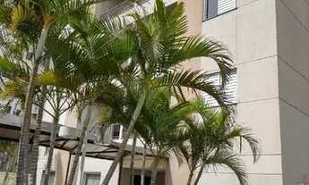 Imagem: São Paulo - Apartamento Padrão - Tatuapé