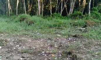 Imagem 2: Terreno em matinhos