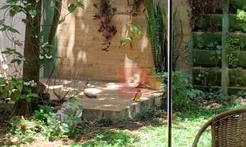 Imagem 3: Casa para aluguel tem 167 metros quadrados com 4 quartos em Jardim Novo Mundo - São Paulo