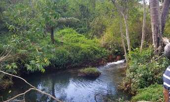 Imagem 5: CHÁCARA DE 8 MIL METROS EM PONTE ALTA - GAMA-DF