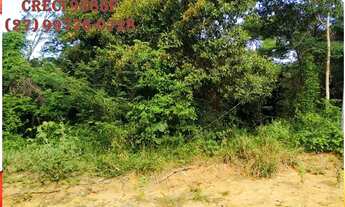 Imagem 2: SCL (W16) Parcele seu lote para Chácara em até 180X em Cariacica Sede