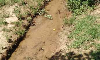 Imagem 3: Sítio no Sul de Minas Gerais