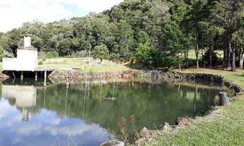 Imagem 3: Sítio no bairro Sesi em Canela!