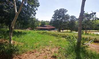 Imagem 5: Fazenda 10 Alqueires Prontinha para Uso