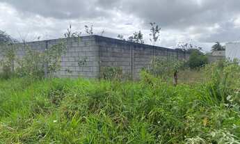 Imagem 2: Excelente terreno para alugar 50 metro saindo da Avenida Nóide Cerqueira