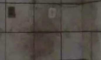 Imagem 5: 04 - Casa na Radional