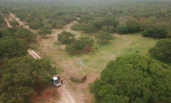 Imagem 7: Fazenda 15.416. Valor 61.664.000