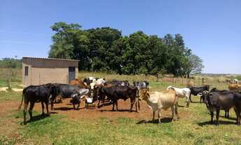 Imagem 4: Vende-se fazenda