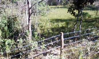 Imagem: Chácara 30 minutos de Minaçu na beira