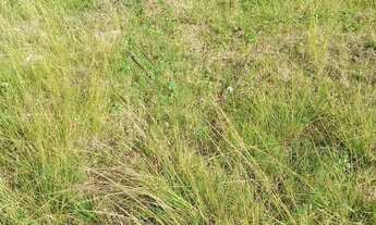 Imagem 2: Terreno em santissimo