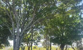 Imagem 4: Natureza e tranquilidade em Ibiúna por R$89.999