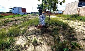 Imagem 2: Terreno Lote Condomínio Residencial Parque Lusitano Tarumã 305m² Manaus-AM Financia