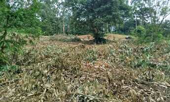 Imagem 2: Chácara com tanque de peixe em quitandinha