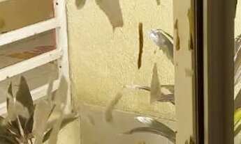 Imagem 5: Repasse apartamento ou troca por carro, facilito pagamento