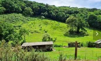 Imagem 6: Lote em Rua Carlos Debastiani - Desvio Rizzo - Caxias do Sul/RS