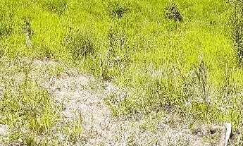 Imagem 4: Terreno para chácara 2.000 m²