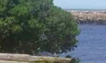 Imagem 6: Casa a venda em passo de torres