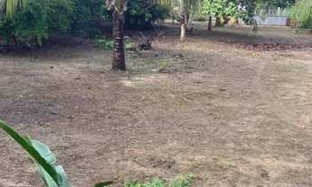 Imagem 3: OPORTUNIDADE ÚNICA: CHACÁRA ACOMCHEGANTE, PARA MORADIA OU LAZER!!