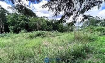 Imagem 5: Chácara com 2 ha de terra no São Victor Cohab