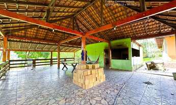 Imagem 6: Sítio Terreno Chácara KM 08 BR 174 Ramal Claudio Mesquita e da Capivara Manaus-AM 7.139m²