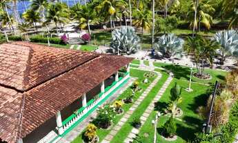 Imagem 6: Propriedade com 160 tarefas a venda no Povoado Farnaval em Estância-Se