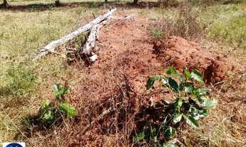 Imagem 4: Fazenda à Venda em Arenópolis - GO | 76 Alqueires