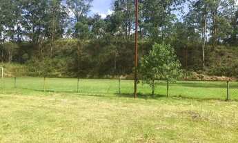 Imagem 4: AREA - LARANJA AZEDA - SP