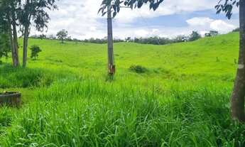 Imagem 4: Fazenda municipio de alexania Centro - Alexânia - GO