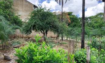 Imagem: Lote Faiçalville