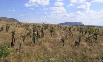 Imagem: 40.000 m² CHÁCARAS NA CHAPADA DOS VEADEIROS