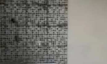 Imagem 5: Casa pra alugar Casa com 3 dormitórios