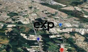 Imagem 2: Terreno a venda 8.500,00m2 Barro Preto- Sao Jose dos Pinhais