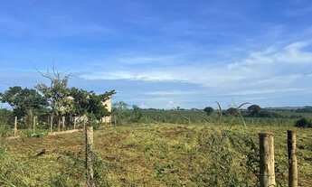 Imagem 3: Chácara 4km do asfalto