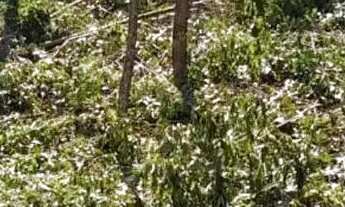 Imagem 5: Venda de terreno em Tapiraí