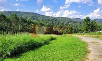 Imagem 4: Terreno à venda, 1000 m² por R$ 205.300,00 - Pavão (Canguera) - São Roque/SP