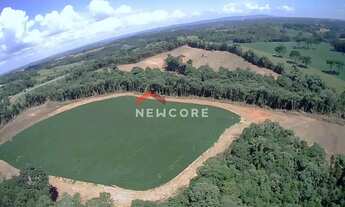 Imagem 7: Sítio em Área Rural - Área Rural de Araucária - Araucária/PR