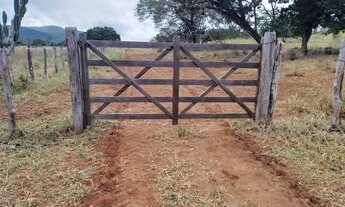 Imagem 2: Boa fazenda para produção criação, com sede de alto padrão , curral, poço e aguadas