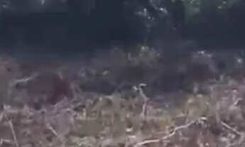 Imagem 7: Lote grande na Quinta do Sumidouro