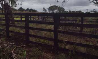 Imagem 2: Sítio Chácara com venda por R$260.000