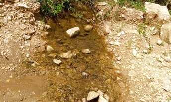 Imagem 3: Terreno 46 Hectares por R$330.000,00