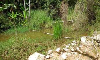 Imagem 5: Terreno 46 Hectares por R$330.000,00