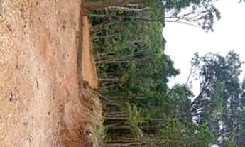 Imagem 4: Simplesmente maravilhoso 3500 MTS em local reservado 87 mil reais