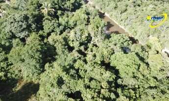 Imagem 4: Fazenda- 681 hectares- São João da Aliança ? Goiás